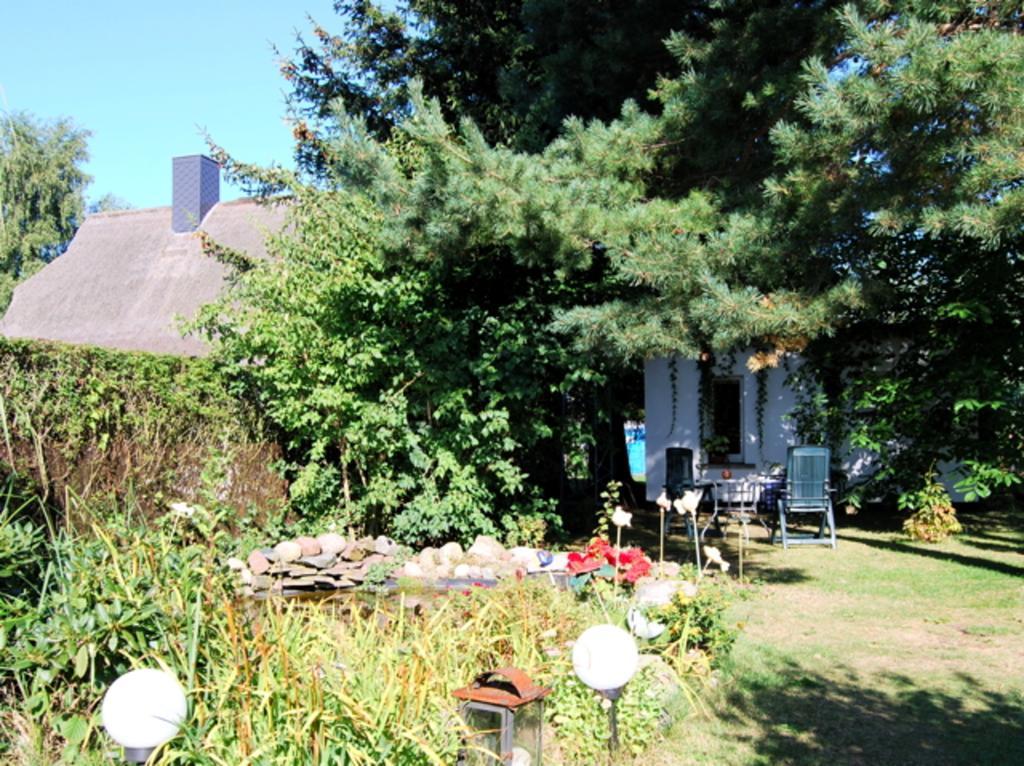 Ferienhaus Mit Garten Am Bodstedter Bodden Exteriér fotografie