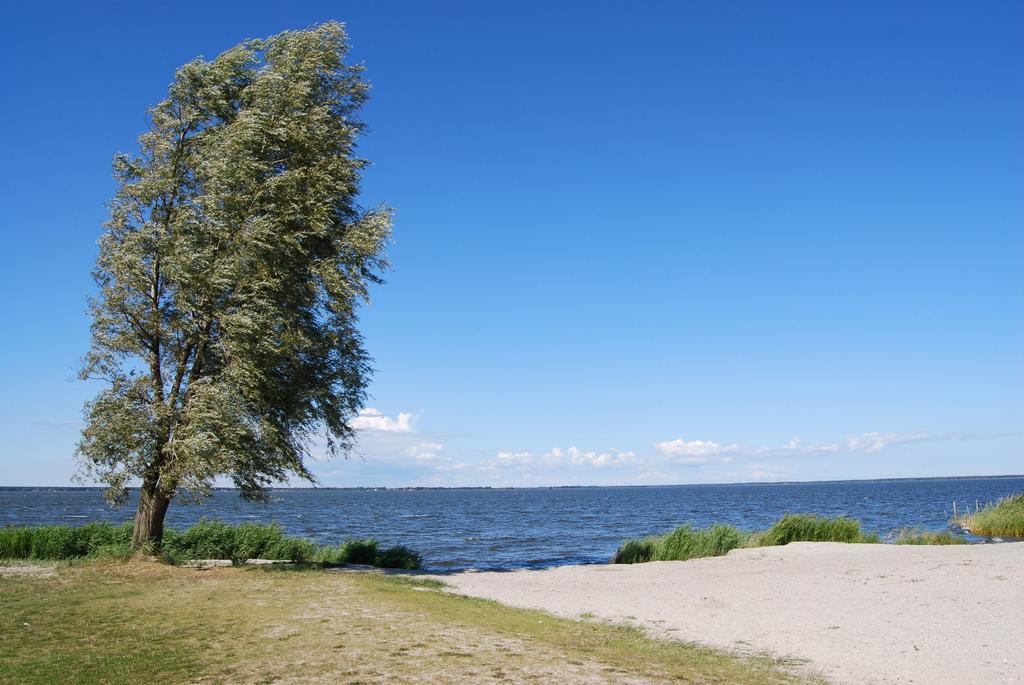 Ferienhaus Mit Garten Am Bodstedter Bodden Exteriér fotografie